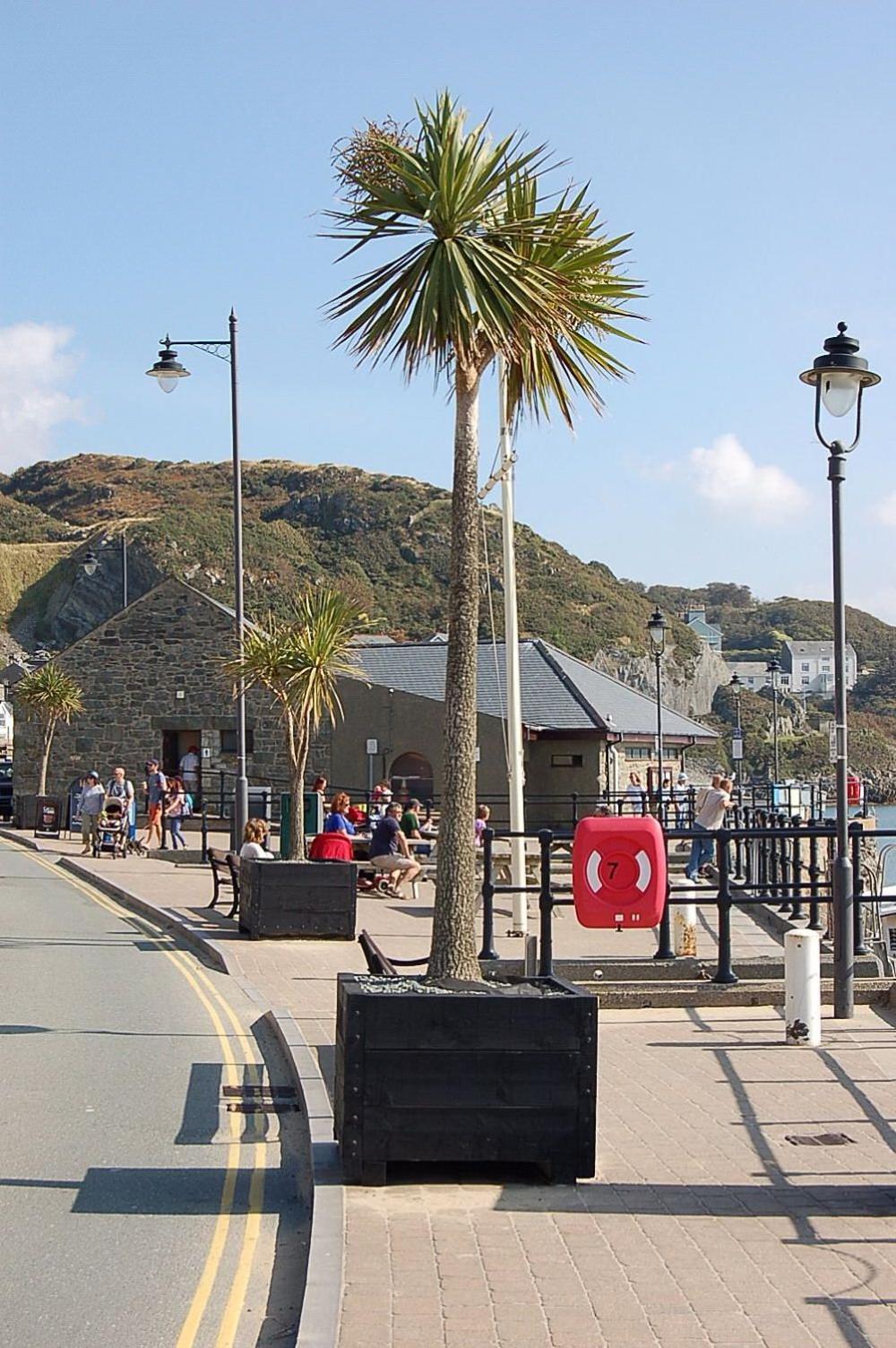 Beach Vista Apartment Three In Barmouth Eksteriør bilde